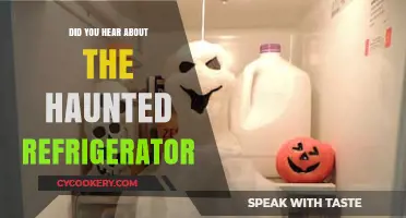 The Chilling Tale of the Haunted Refrigerator: A Ghostly Appliance