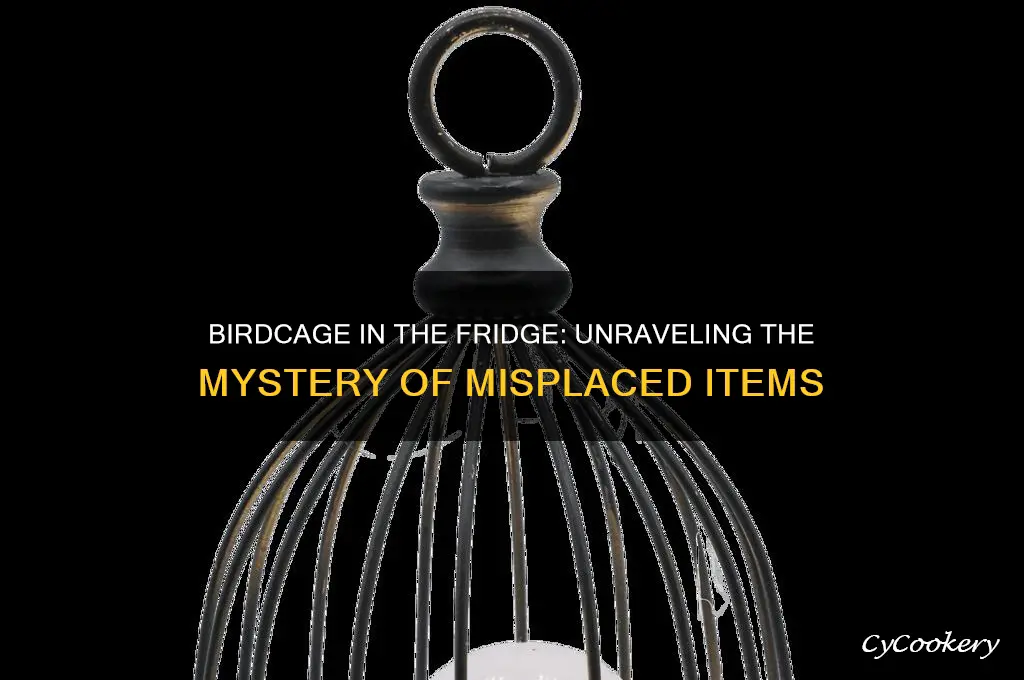 did you put my birdcage in the refrigerator