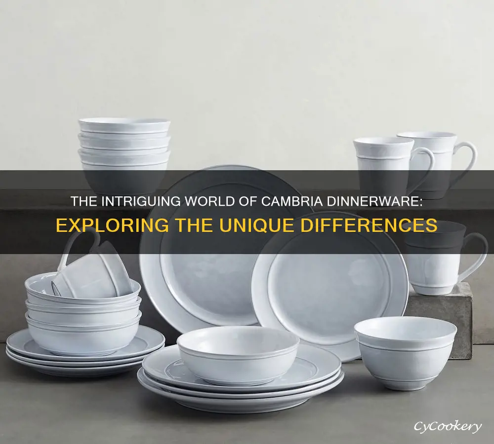 differencebetweencambria dinnerware sets