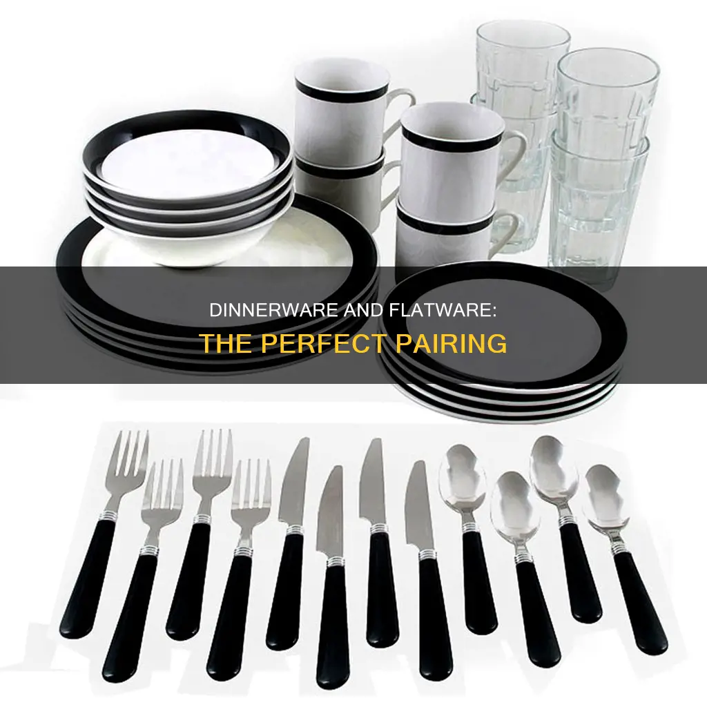 dinnerware and flatware combo set