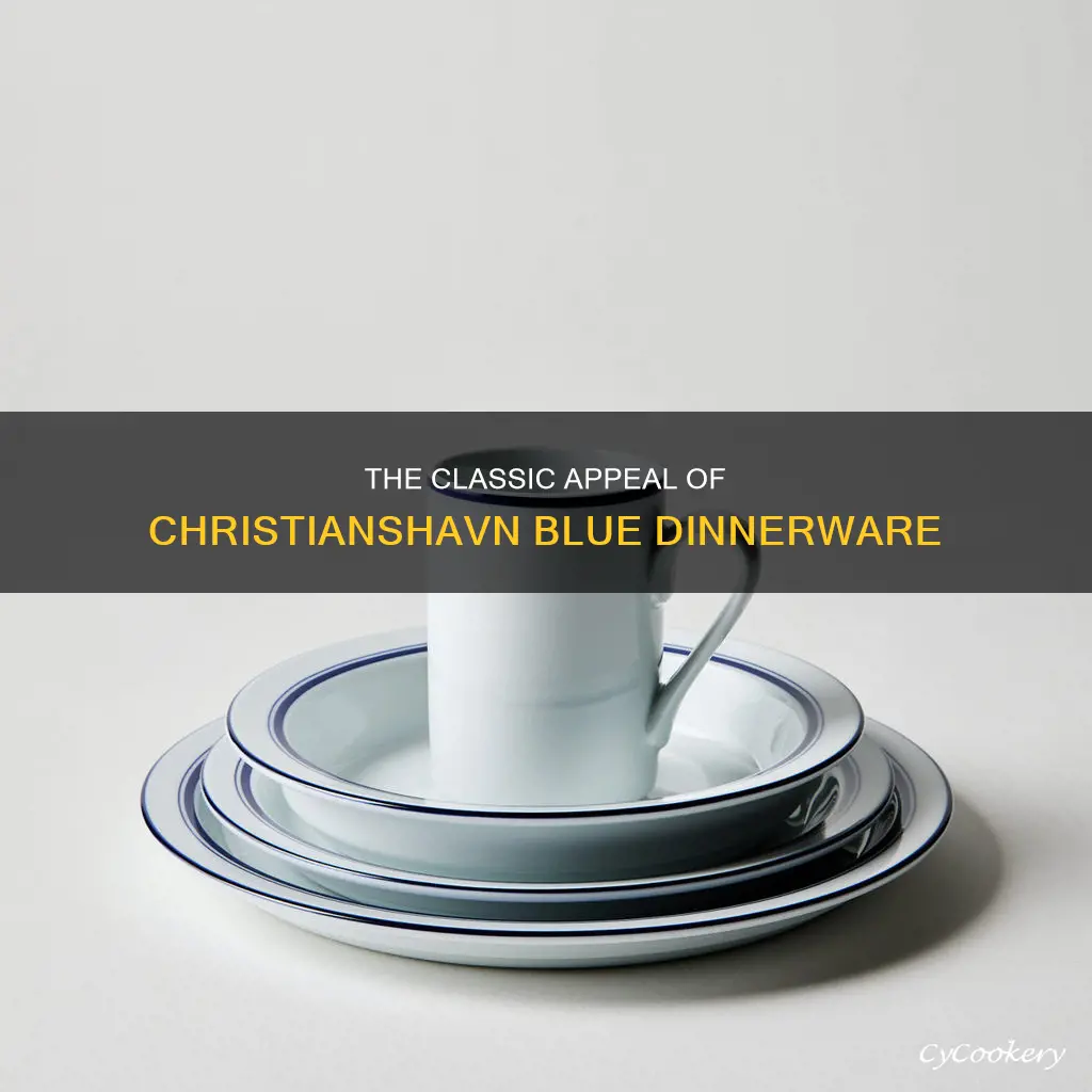 dinnerware christianshavn blue 4 piece place setting