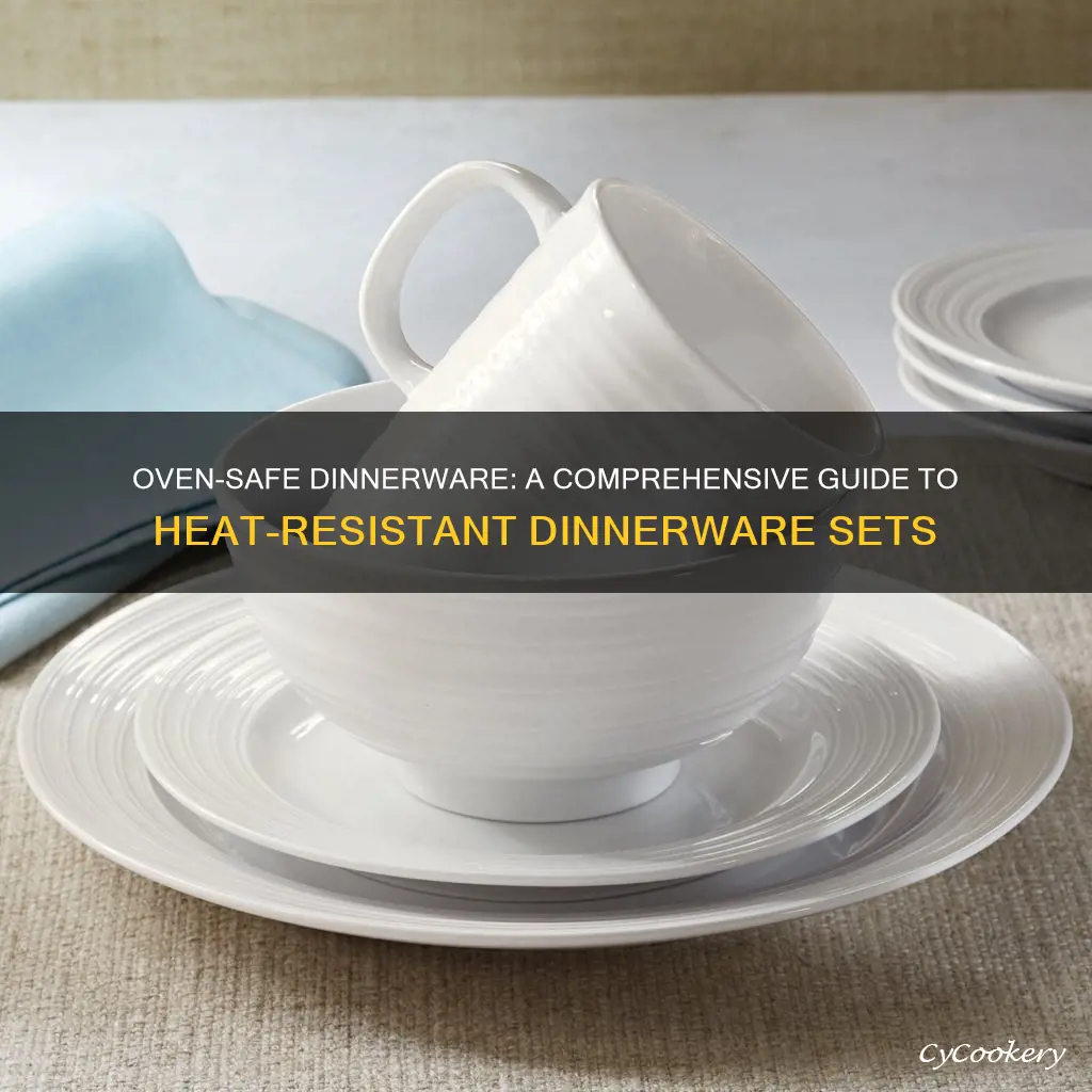 dinnerware set oven safe