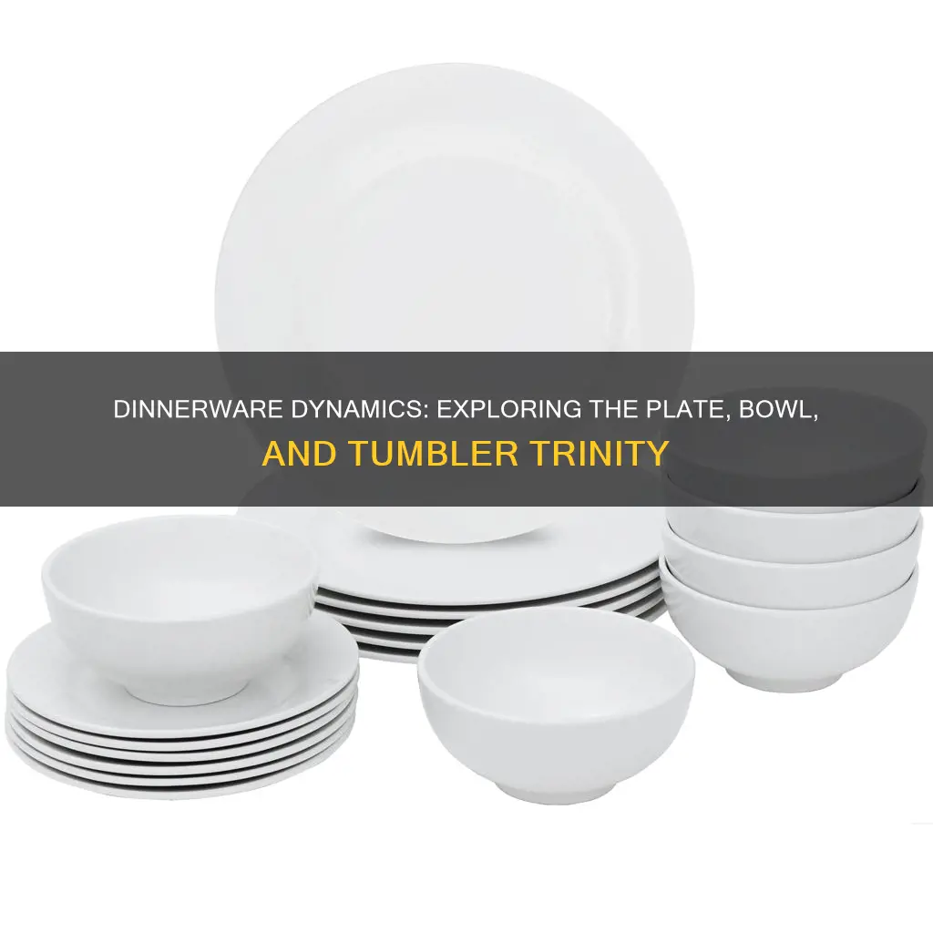 dinnerware set plate bowl tumbler