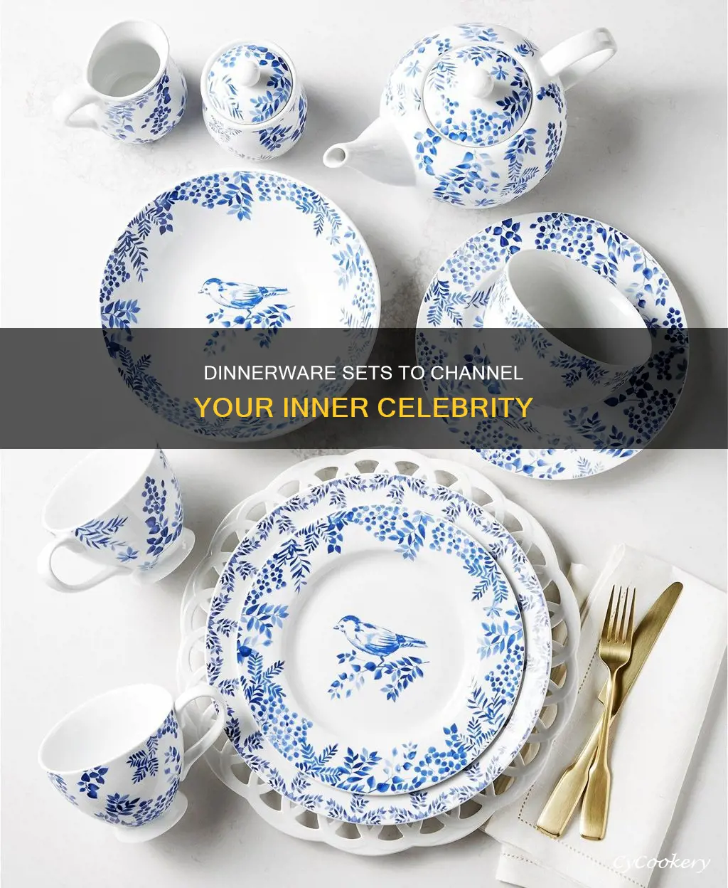 dinnerware sets celebrities style