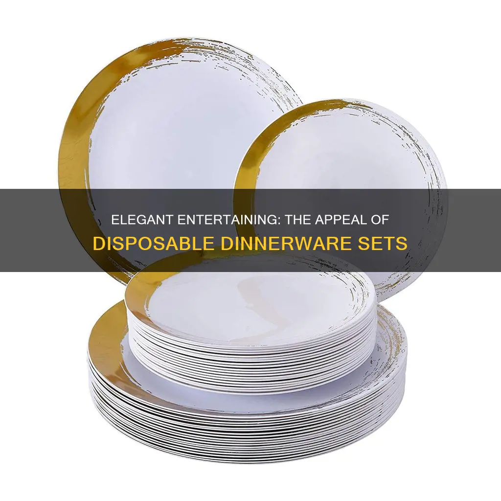 dinnerware sets disposable