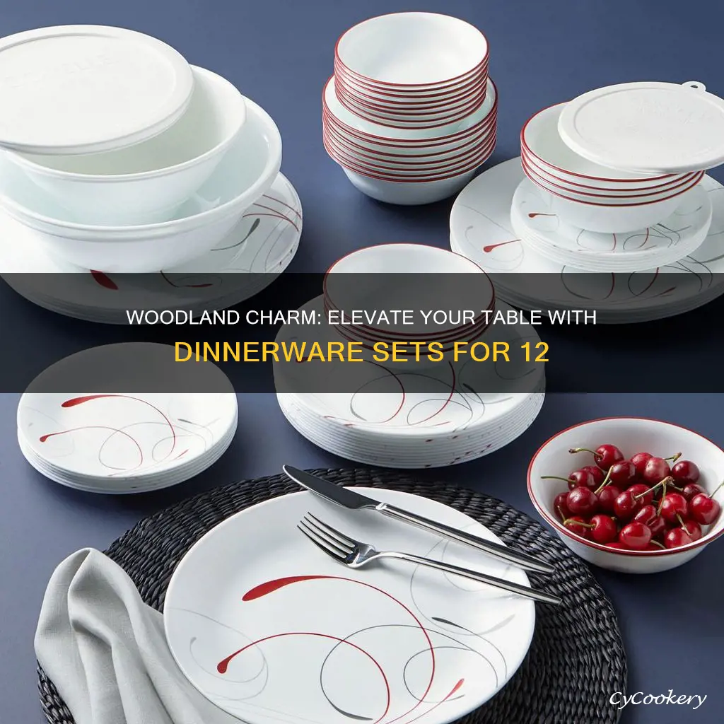 dinnerware sets for 12 looks like wood