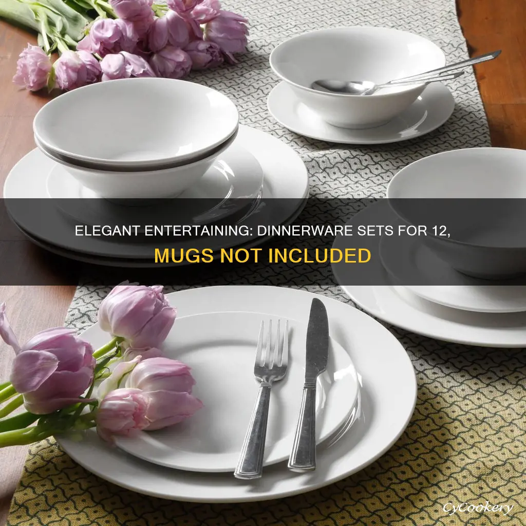 dinnerware sets for 12 without mugs