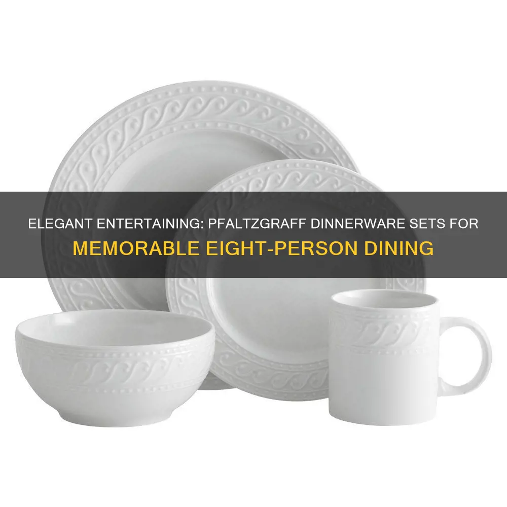 dinnerware sets for 8 pfaltzgraff