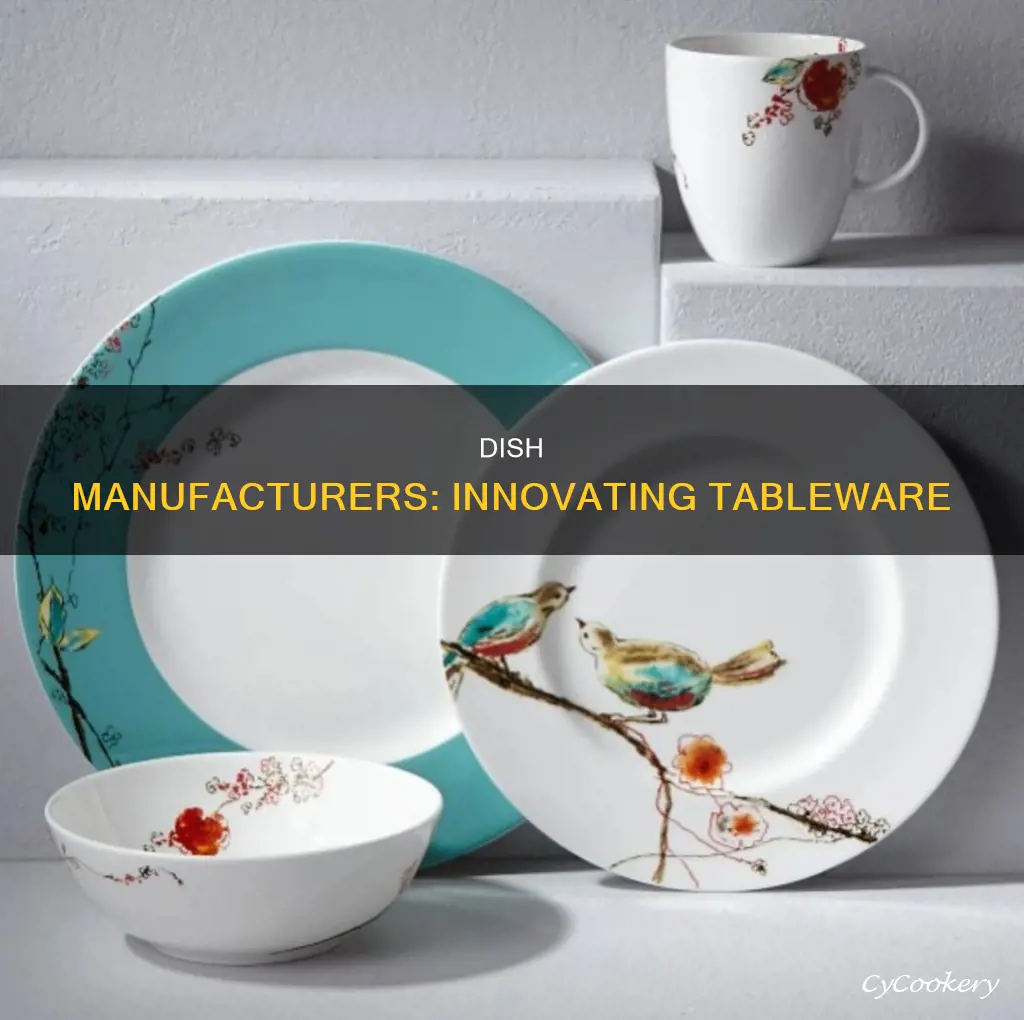 dish manufacturers