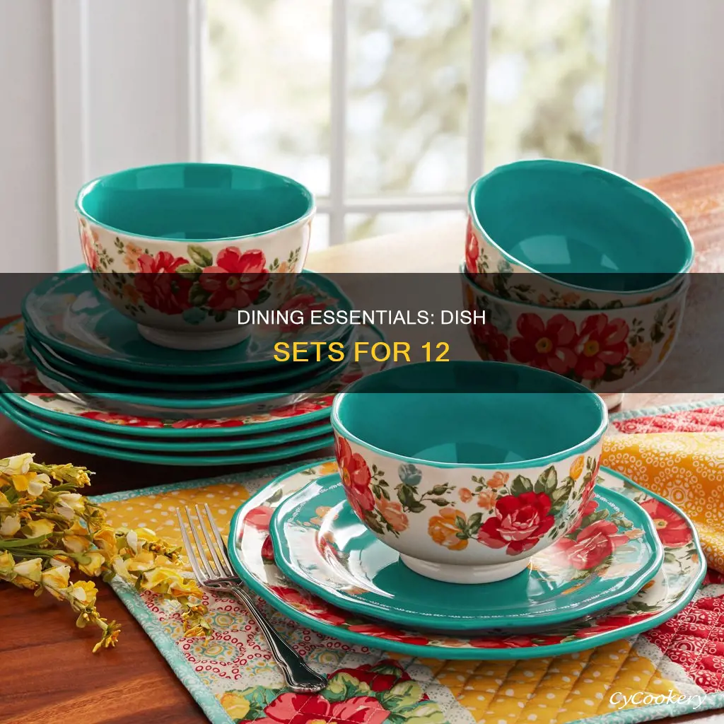 dish sets for 12