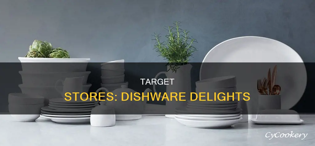 dishes at target stores