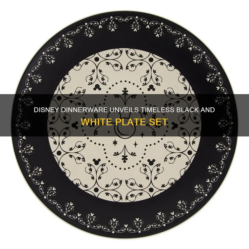 disney dinnerware black and white plates set of 4