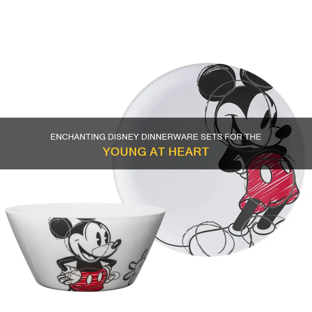 disney dinnerware set for adults