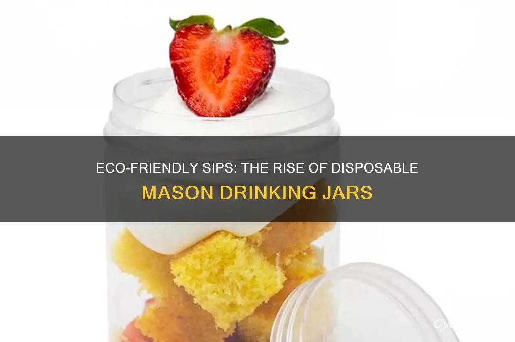 disposable mason drinking jars