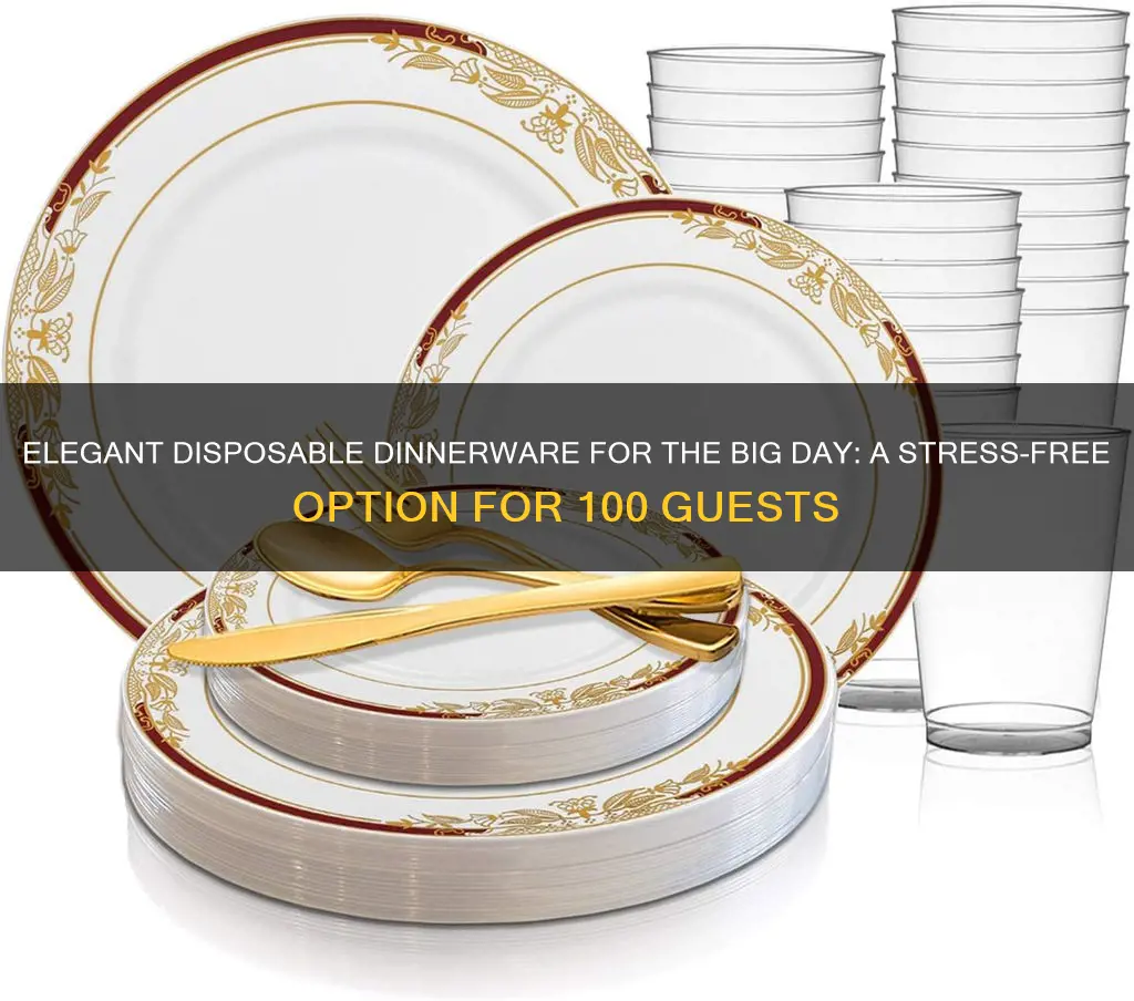 disposable wedding dinnerware sets for 100