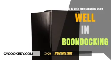 Boondocking Bliss: How 12V Fridges Perform Off-Grid Adventures