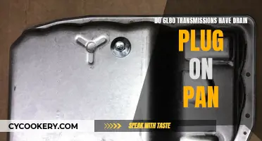 Checking the 6L80 Transmission Pan: Drain Plug Presence