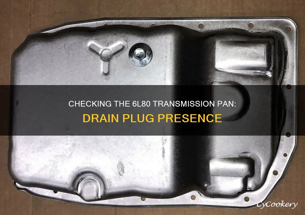 do 6l80 transmissions have drain plug on pan