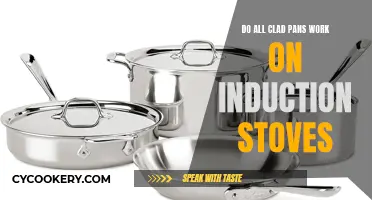All-Clad Pans: Compatible with Induction Stoves?