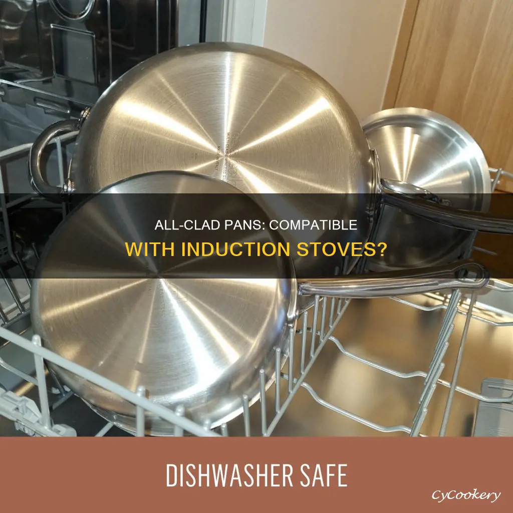 do all clad pans work on induction stoves