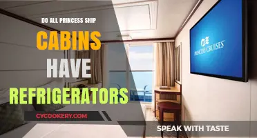 Princess Cruises Cabins: Do All Rooms Include Refrigerators?