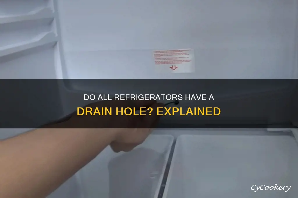 do all refrigerators have a drain hole