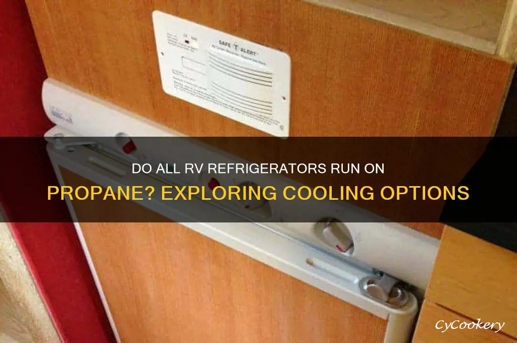 do all rv refrigerators run on propane