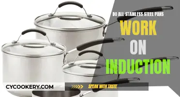 Stainless Steel Pans: Induction-Friendly?