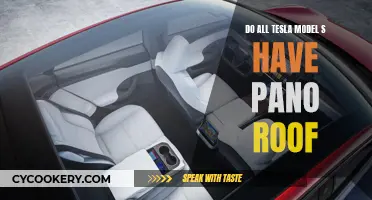 All Tesla Model S: Panoramic Roof Standard?