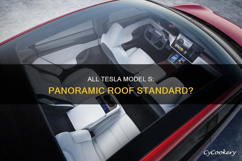 do all tesla model s have pano roof