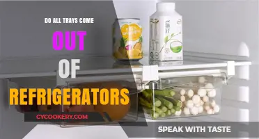 Do All Refrigerator Trays Slide Out? A Comprehensive Guide