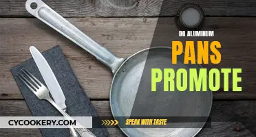 Aluminum Pans: Are They Safe or Toxic?