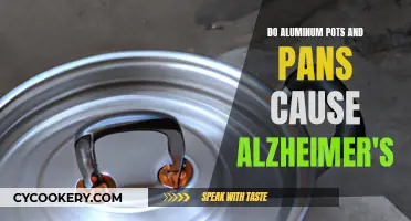 Aluminum Cookware: Alzheimer's Trigger?