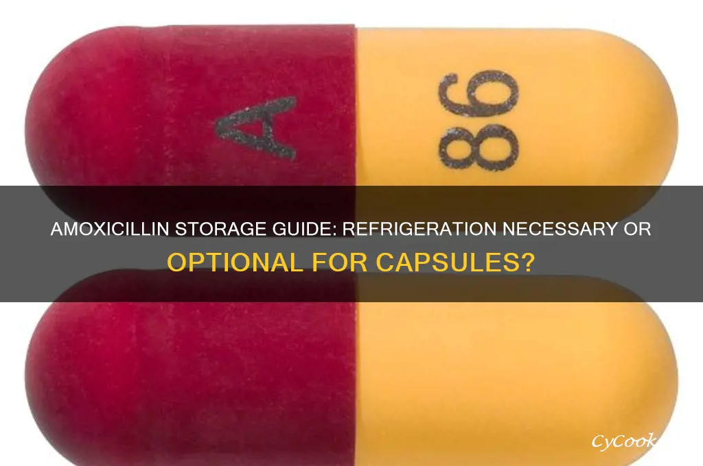 do amoxicillin capsules have to be refrigerated