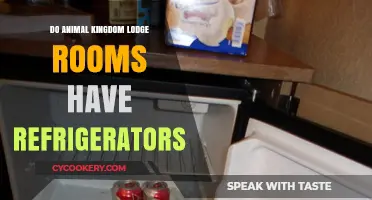 Animal Kingdom Lodge Rooms: Refrigerator Availability and Amenities Guide