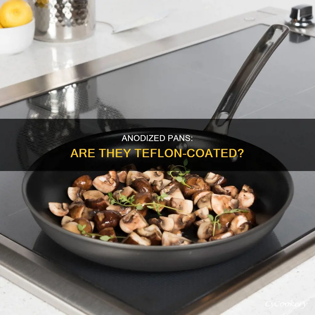 do anodized pans have teflon