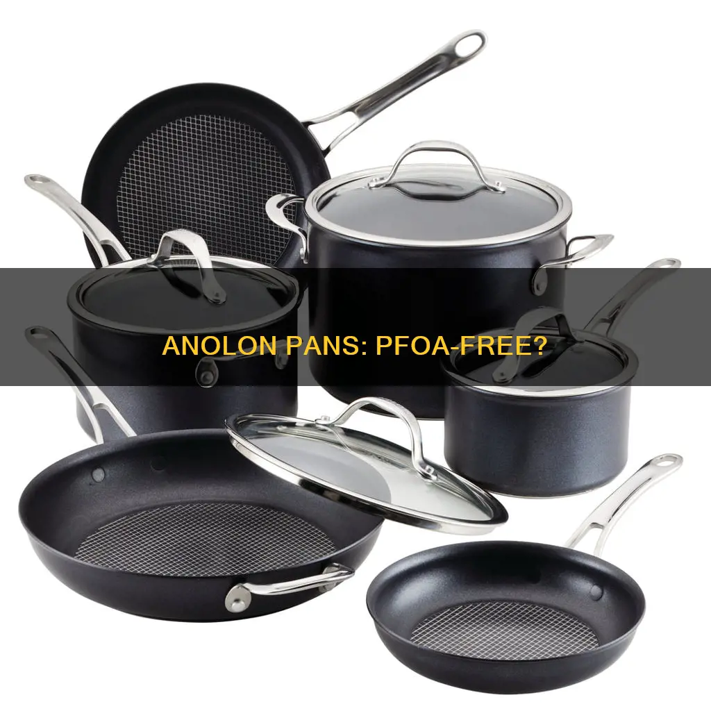 do anolon pans have pfoa
