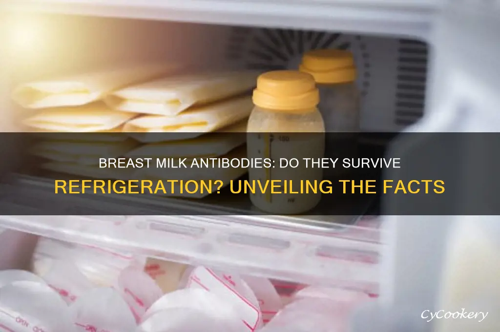 do antibodies in breast milk survive refrigeration