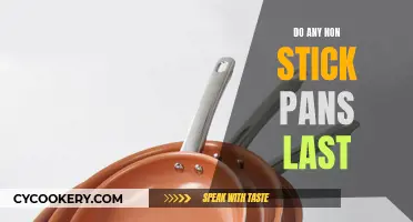 Non-Stick Pans: Are They Worth the Investment?