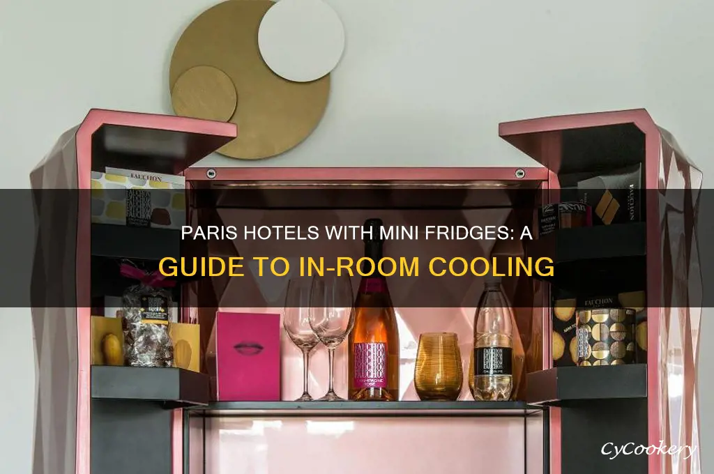 do any paris hotels have small refrigerators