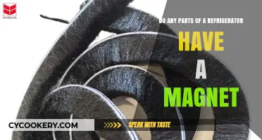 Are Refrigerator Parts Magnetic? Exploring the Science Behind Your Fridge