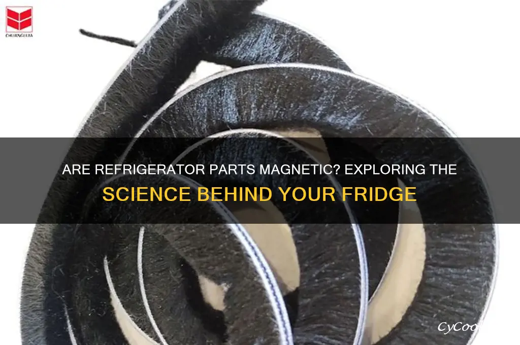 do any parts of a refrigerator have a magnet