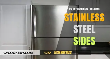 Stainless Steel Sides: Are They Available in Modern Refrigerators?