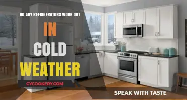 Refrigerators in Cold Weather: Do They Still Function Efficiently?