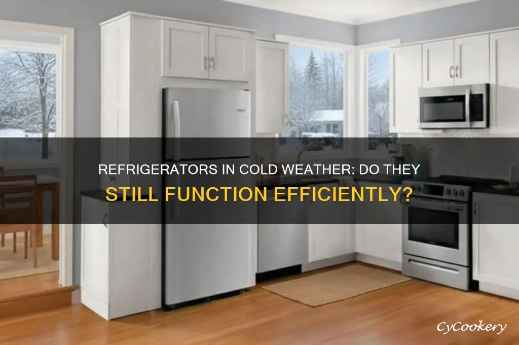 do any refrigerators work out in cold weather