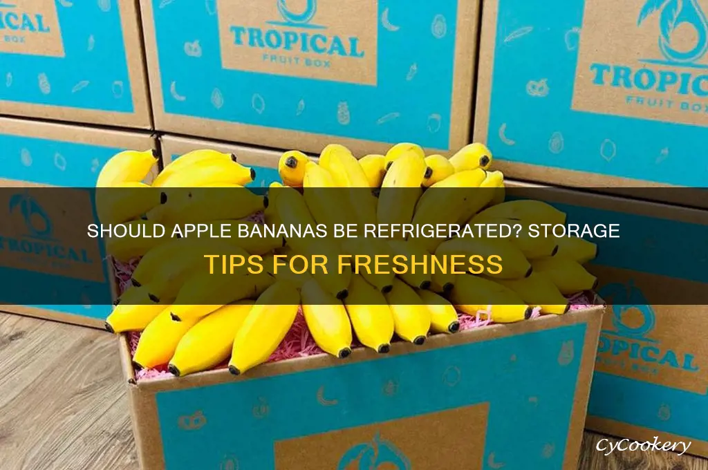 do apple bananas have to be refrigerated