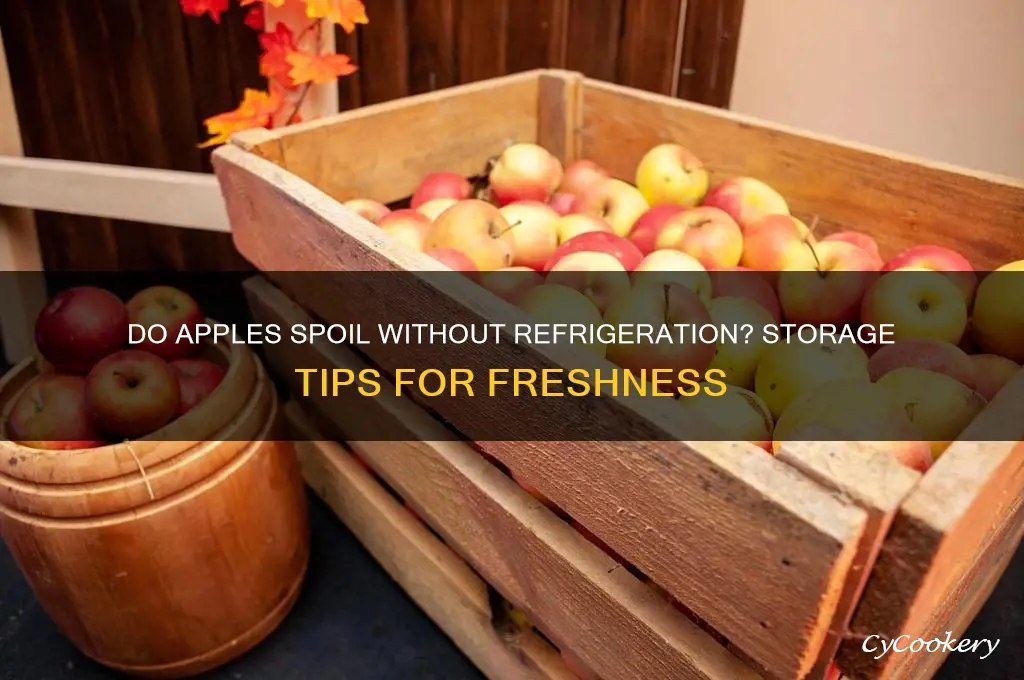 do apples go bad if not refrigerated