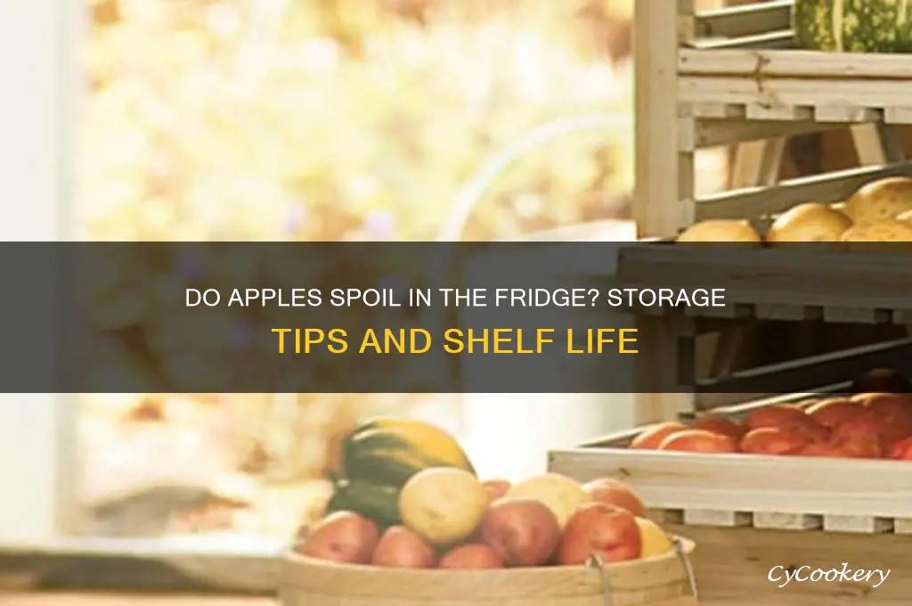 do apples go bad in the refrigerator