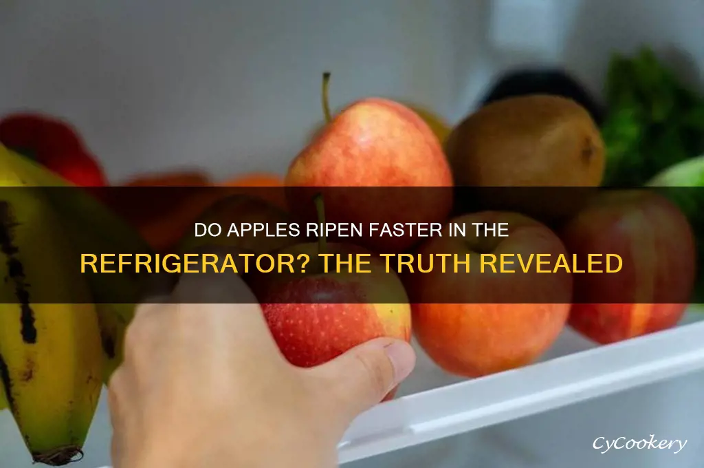 do apples ripen faster in the refrigerator