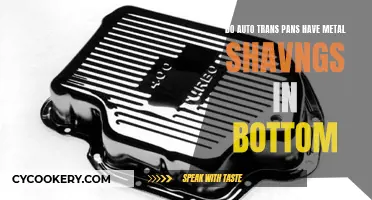 Metal Shavings in Auto Trans Pans: Cause for Concern?